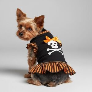 Halloween Skull Pirate Dog Dress